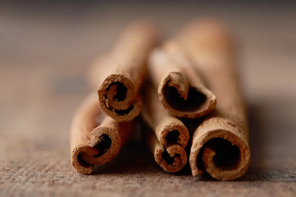 Close-up of cinnamon sticks