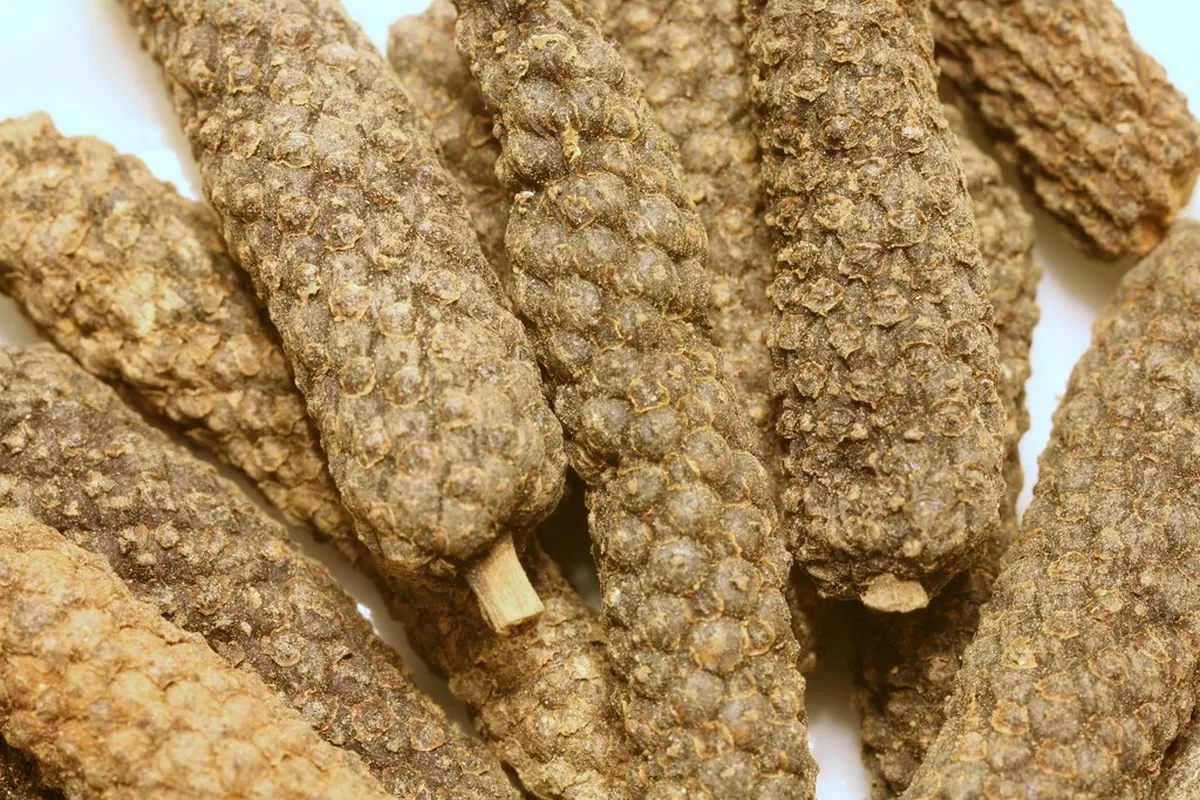 Dried long pepper (pippali) spikes
