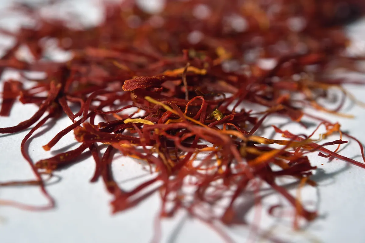 Dried saffron threads